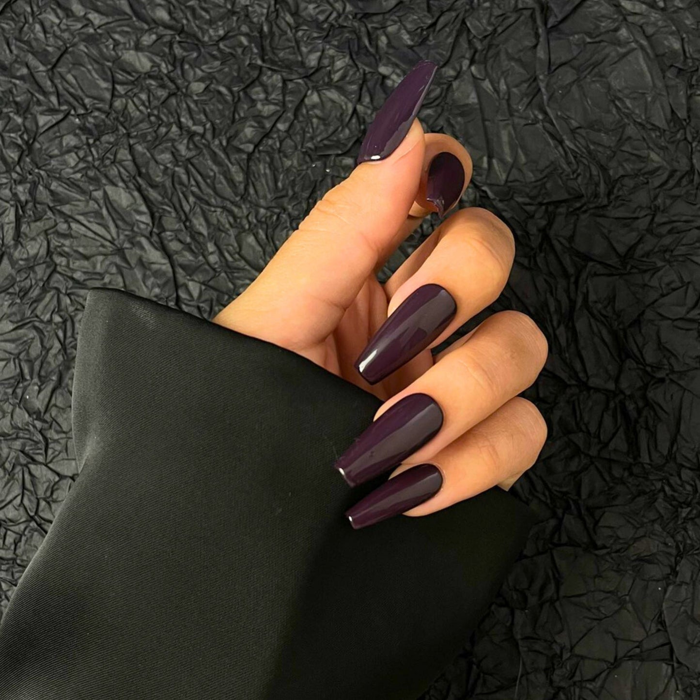 【Ebony Orchid】