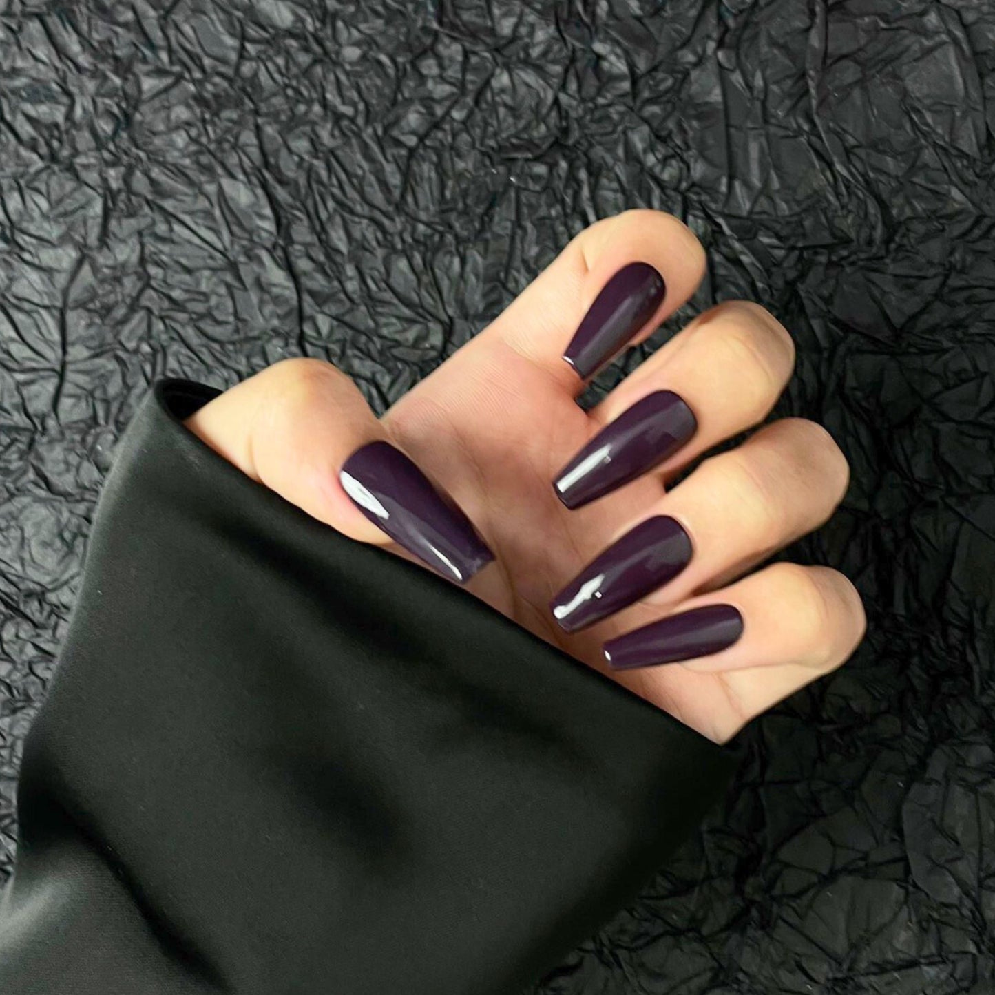 【Ebony Orchid】