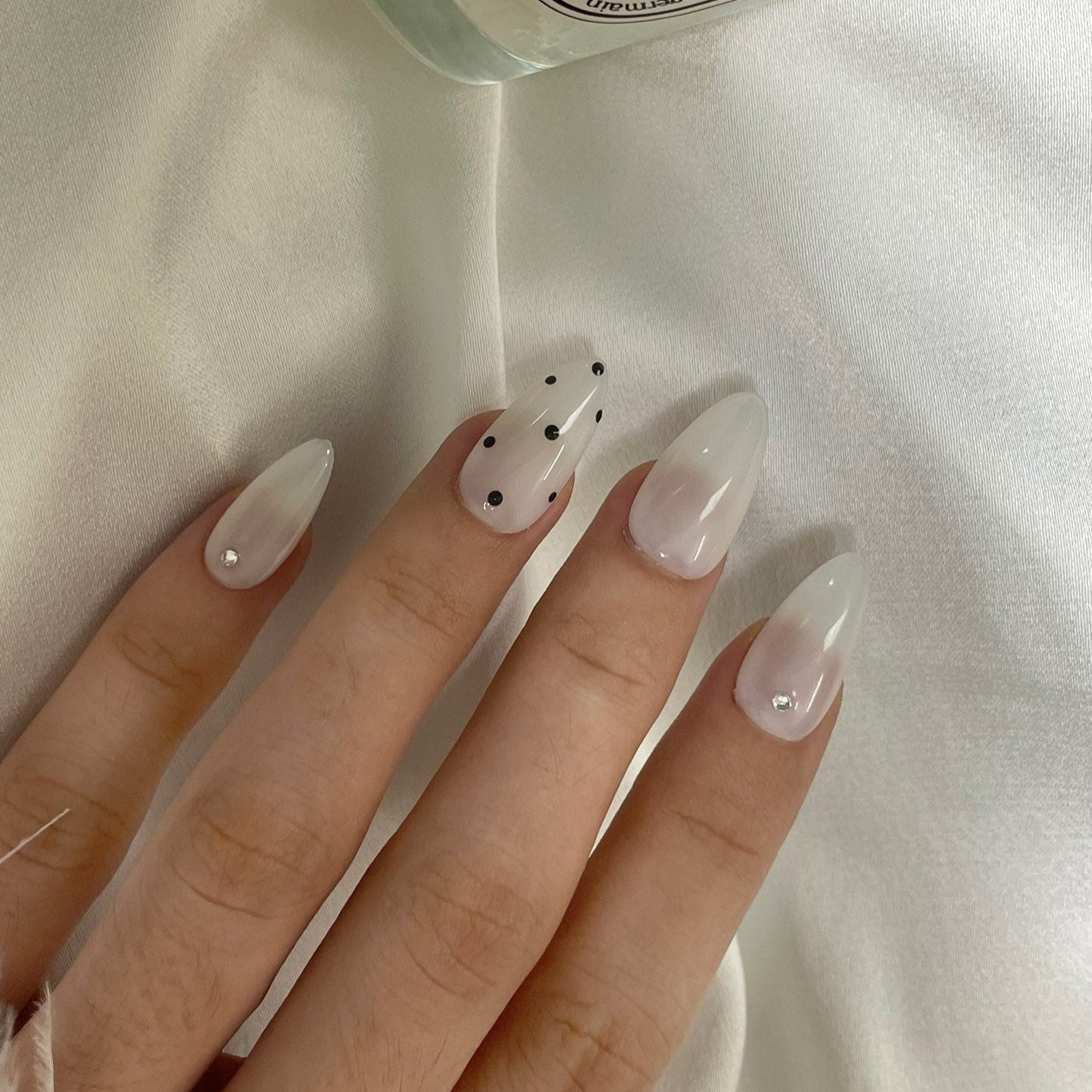 【Dotty Delight】