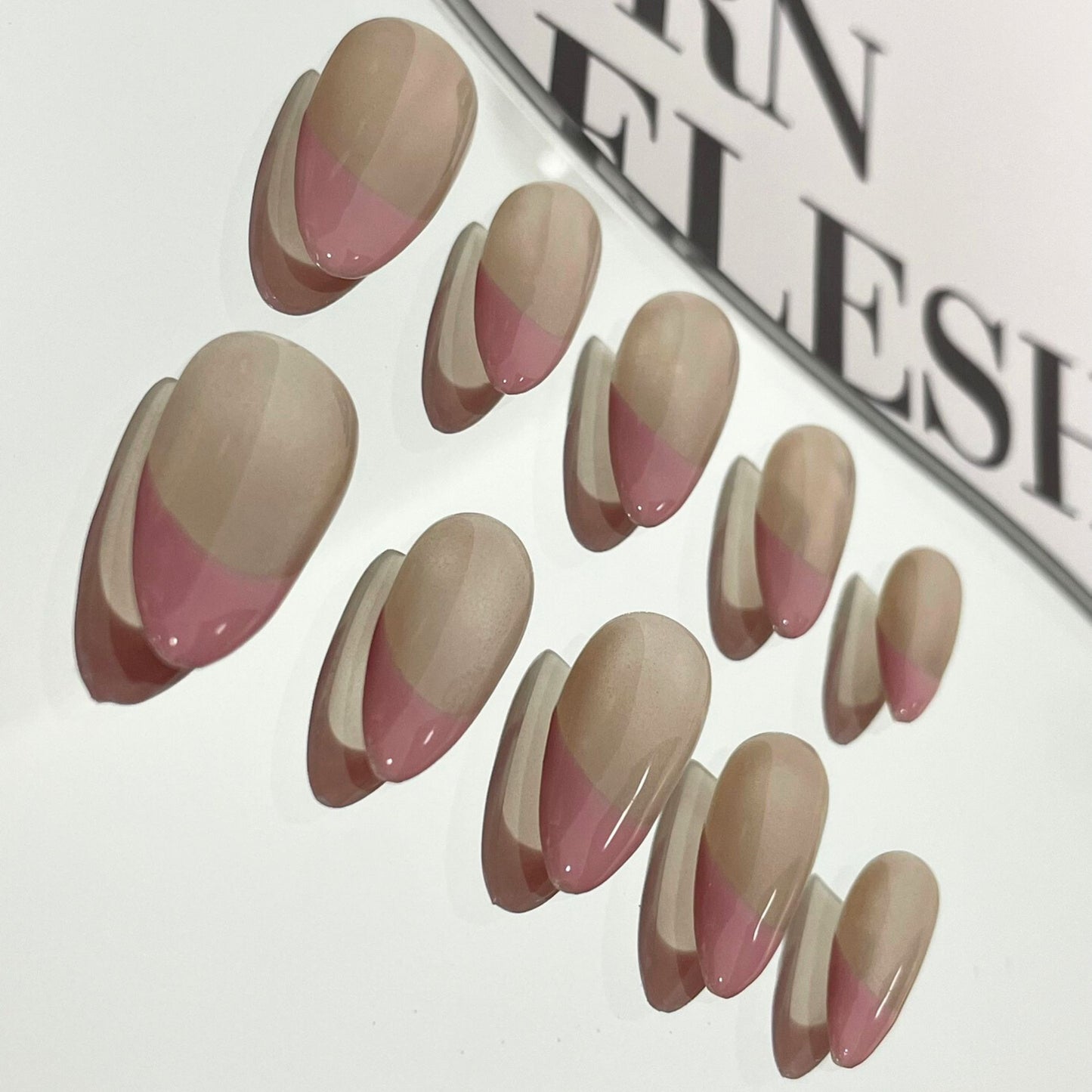 【Blush Petals】